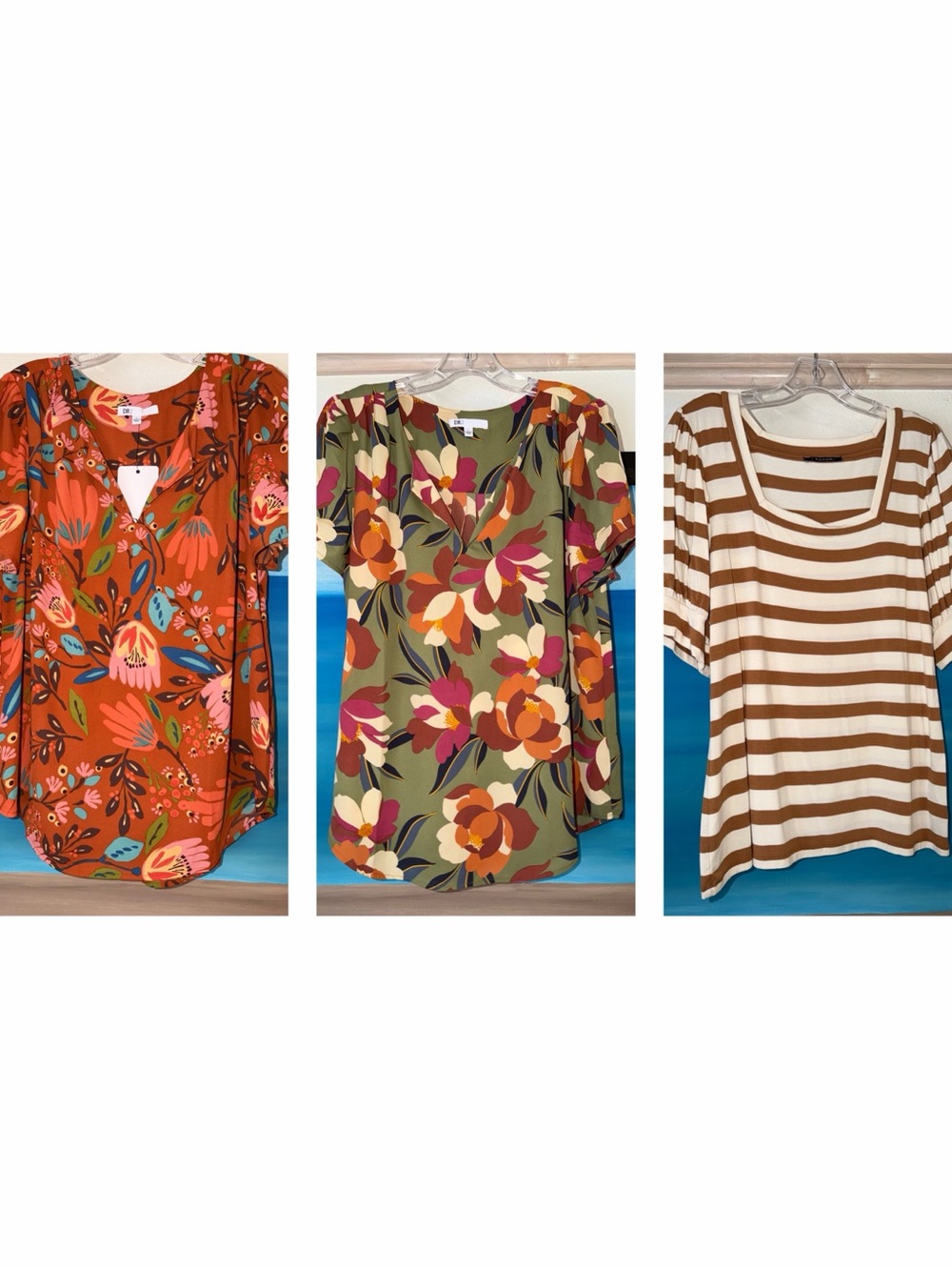 3 Pack of Women’s Blouses in Rustic Colors